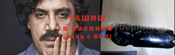 твердый Богданович