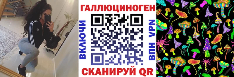купить  сайты  Бирюч  Псилоцибиновые грибы GOLDEN TEACHER 